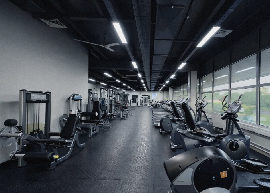 AL Fitness Birulevo — Москва