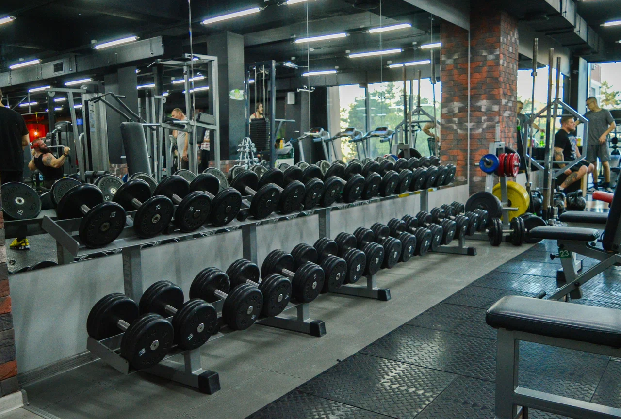 InFit - фото 2