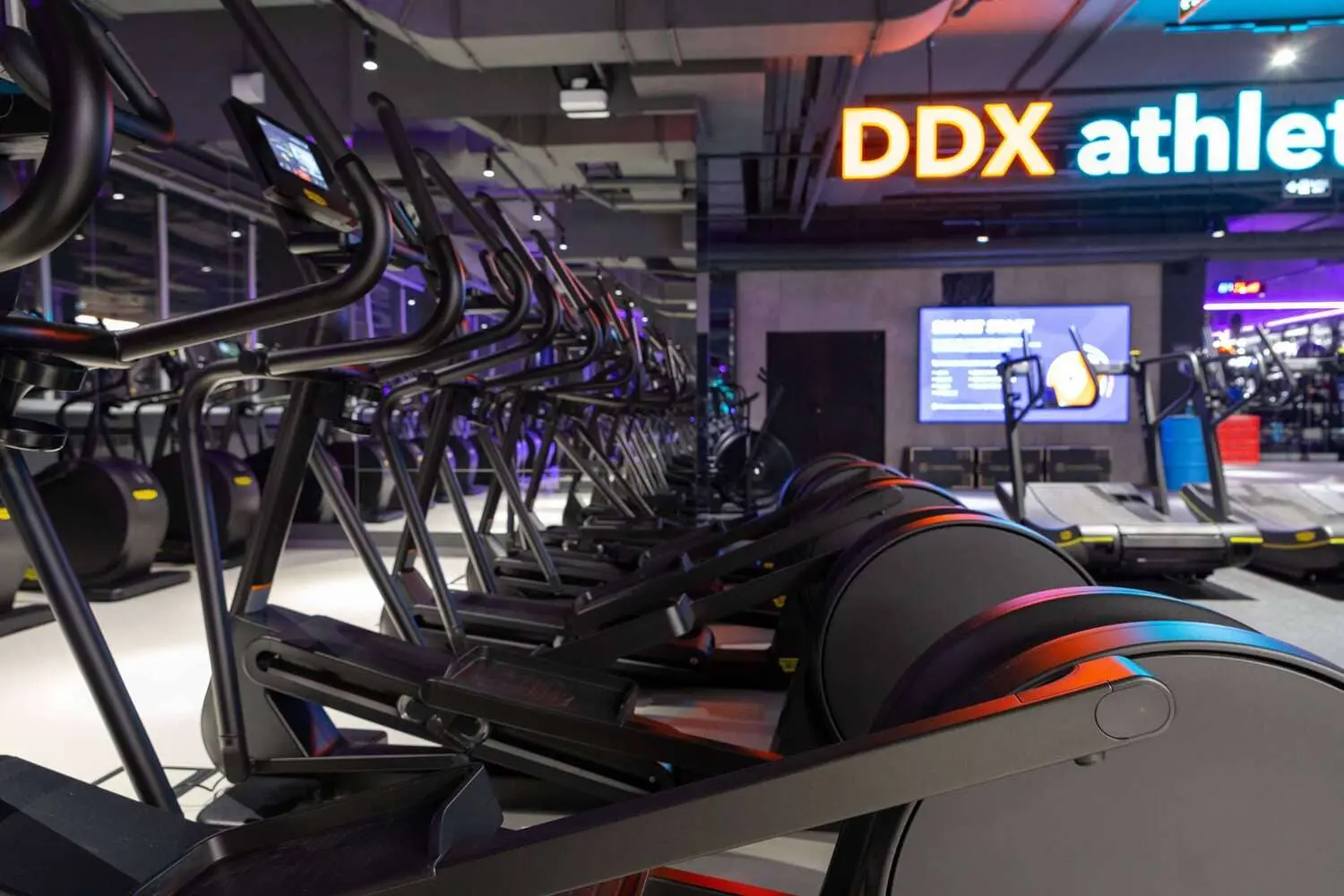 Клуб DDX Ростов-на-Дону Галерея Астор