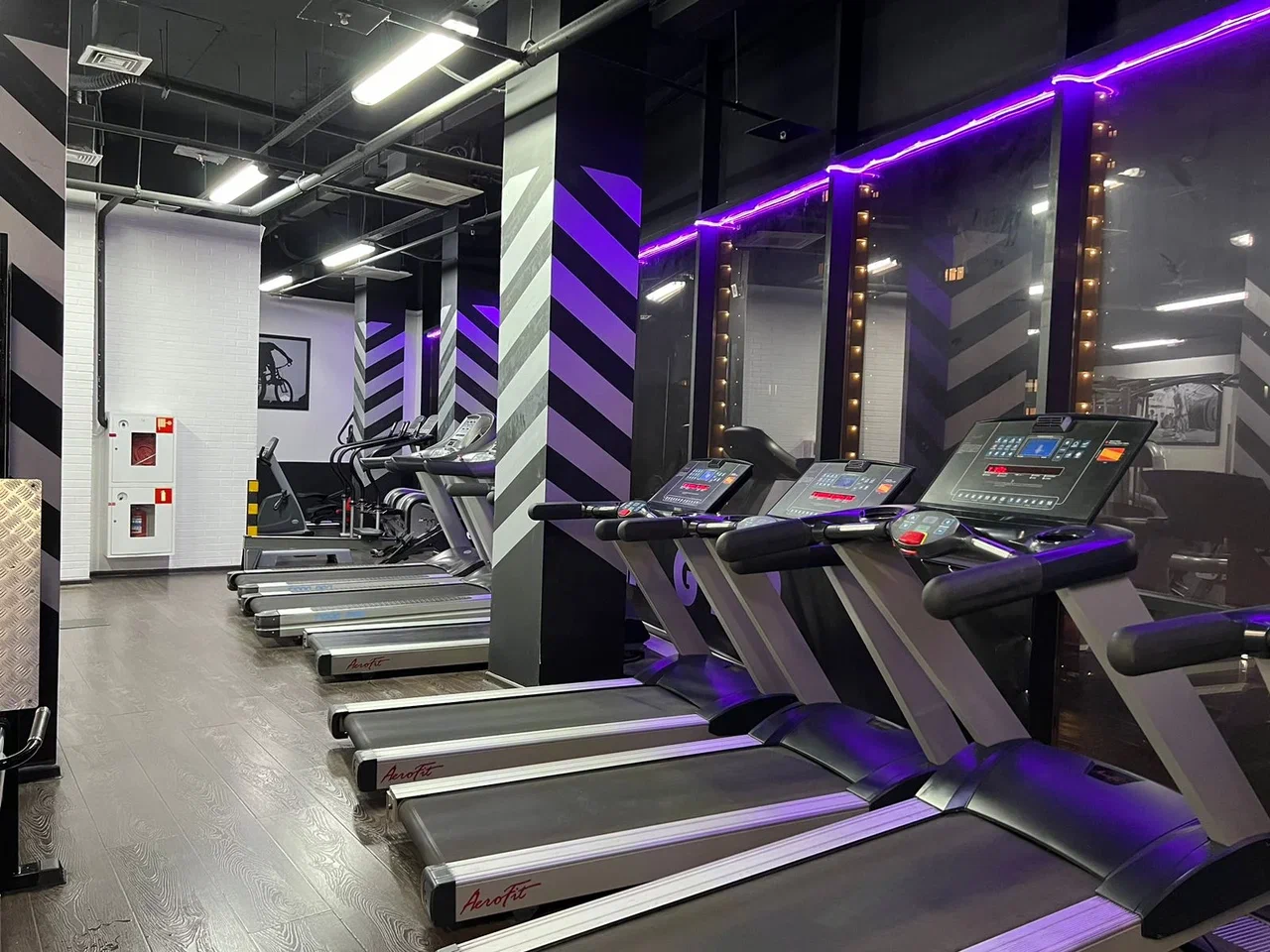 Freedom Gym - фото 2